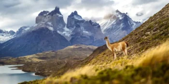 Ile trwa lot do Chile? Dowiedz się, ile się leci do Chile