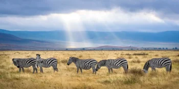 Ile trwa lot do Tanzanii? Dowiedz się, ile się leci do Tanzanii