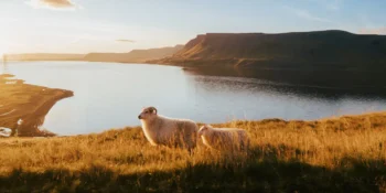 Gdzie lecieć w sierpniu, żeby nie było za gorąco? 5 sprawdzonych kierunków